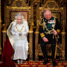 AFP_329R94A.jpg