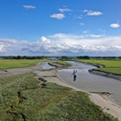 AFP_32AZ38F.jpg