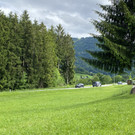 Isi Bistro Scheidbuchen _14_.jpg