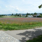 P1007268.jpg