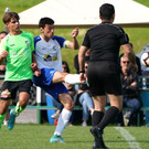 DSC01373a_1200x887.jpg