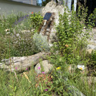 naturnahe gestaltung betriebe _18_.jpg