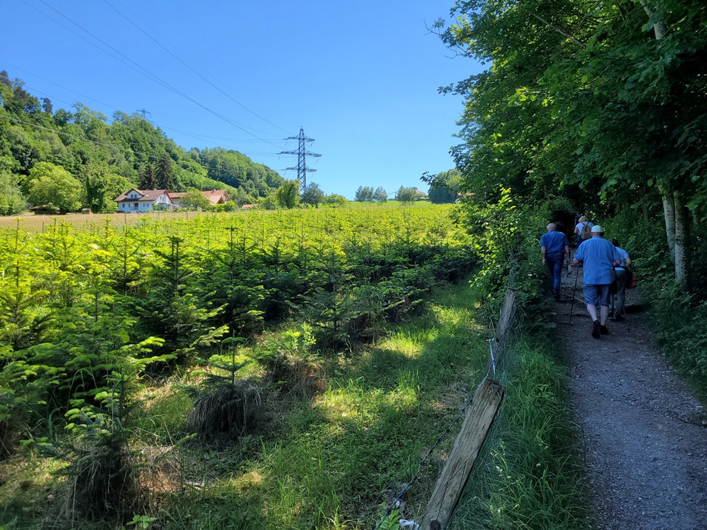 Seniorenbund WINKLER Franz Gedenkveranstaltung 27-05-2022 _8_.jpg