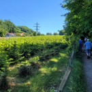 Seniorenbund WINKLER Franz Gedenkveranstaltung 27-05-2022 _8_.jpg