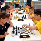 c_Scopoli_1167.JPG