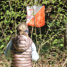 IMG_0095.JPG