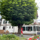 Wirtshaus zur Dorfhaube
