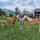 Haflinger1_2.jpg
