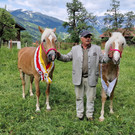 Haflinger1.jpg