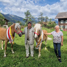 Haflinger2.jpg