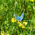 Foto  12.jpg