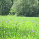 IMG_5394.JPG