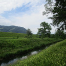 IMG_5401.JPG