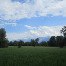 IMG_5410.JPG