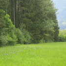 IMG_5417.JPG