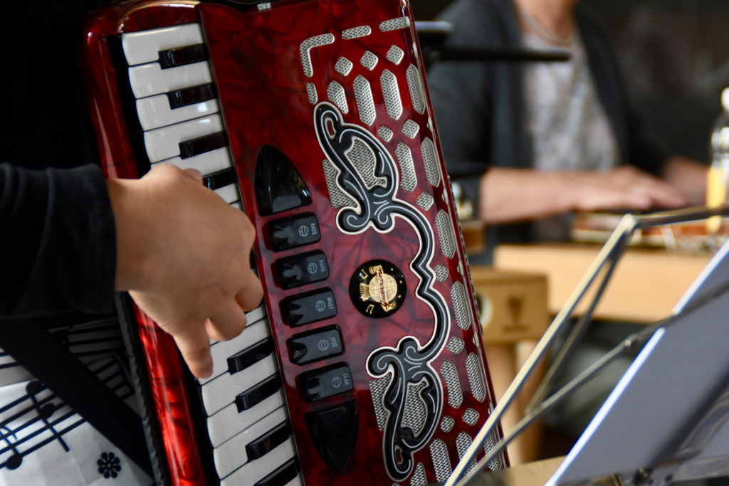 Gaststubenmusik2019_c_CarolineBegle - 15.jpg