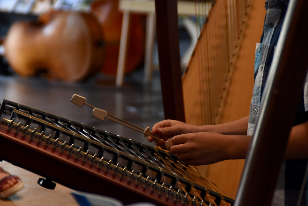 Gaststubenmusik2019_c_CarolineBegle - 25.jpg