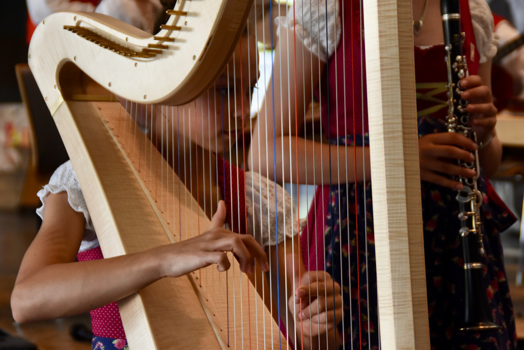 Gaststubenmusik2019_c_CarolineBegle - 39.jpg