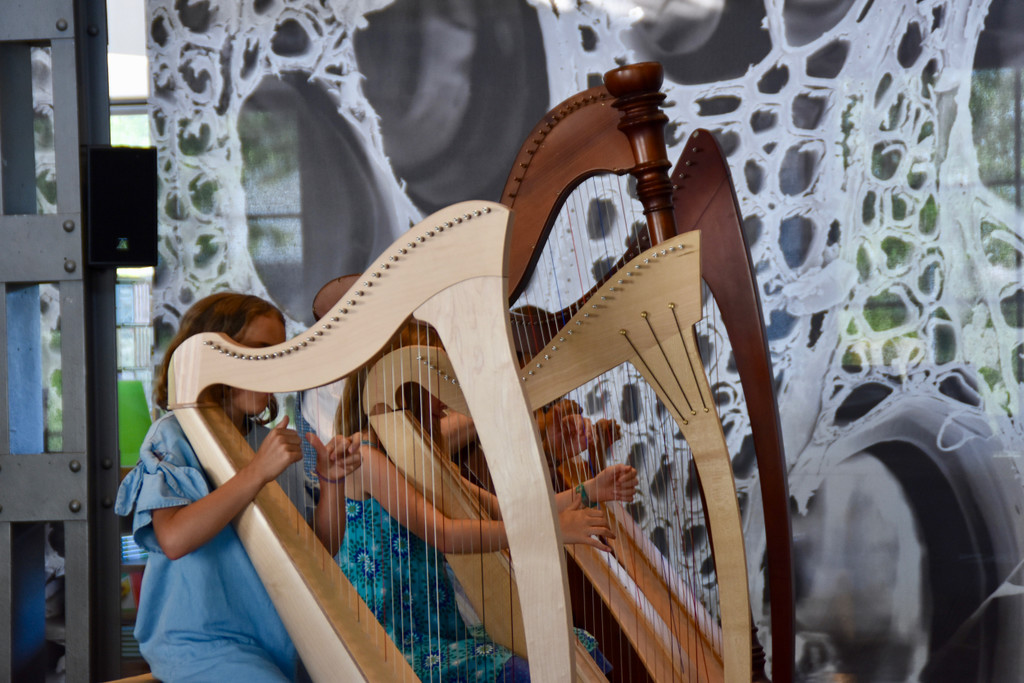 Gaststubenmusik2019_c_CarolineBegle - 18.jpg