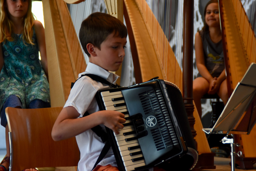 Gaststubenmusik2019_c_CarolineBegle - 21.jpg