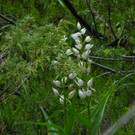DSC04658.JPG