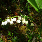 DSC04662.JPG