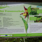 DSC04665.JPG