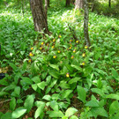 DSC04666.JPG