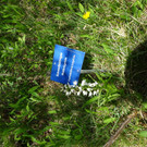 DSC04681.JPG