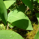 DSC04683.JPG