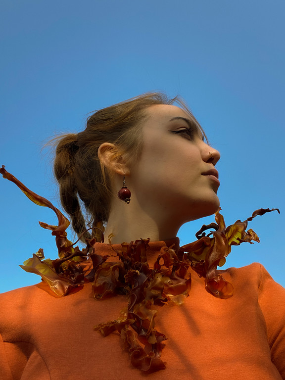 Sustainability Award FH O__ Campus Wels_1.jpeg