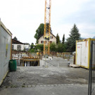 DSCI7442.JPG