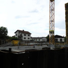 DSCI7444.JPG