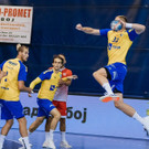 Dragan Pavlovic Wurf.jpg