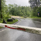 furt dornbirn _2_.jpg