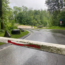 Bilder aus dem Ländle 