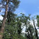 IMG_8156.JPG