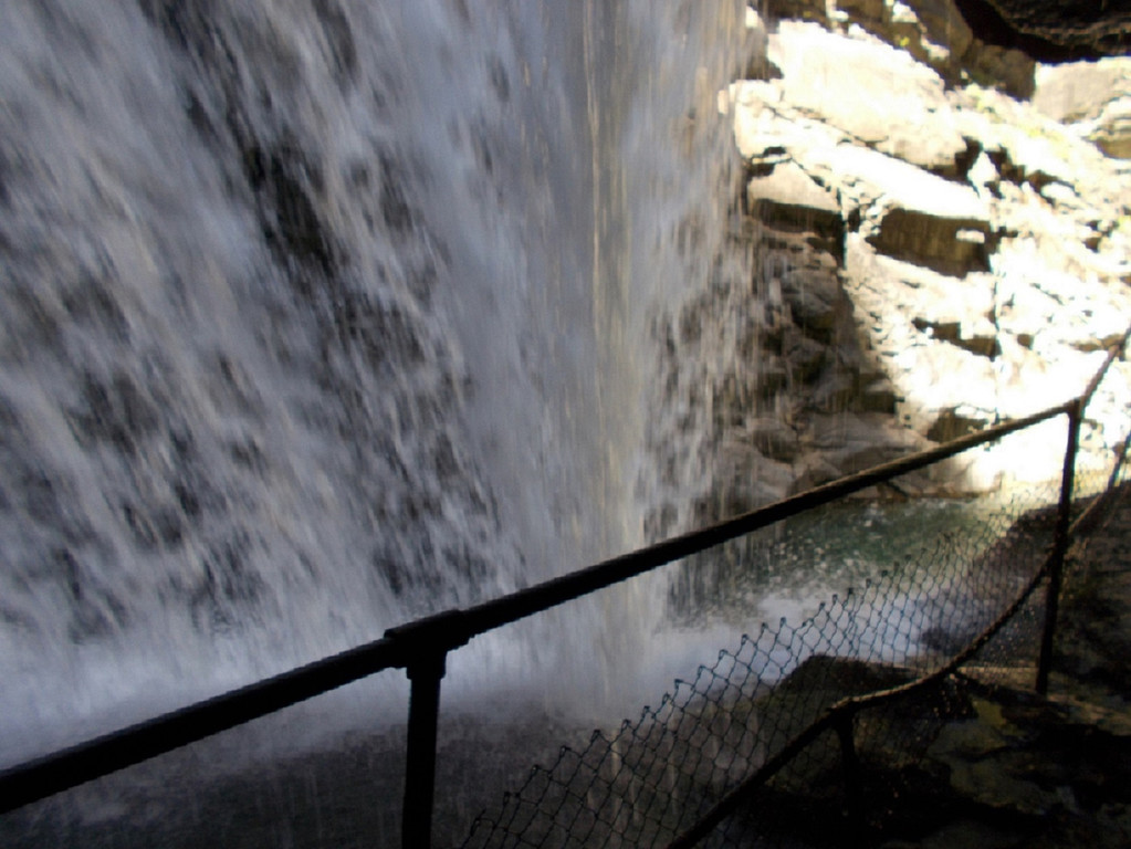 7 DSCN2495.JPG