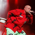 Sonntag: Five Finger Death Punch 