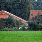 2019-10-15T000000Z_660331337_RC1D64754900_RTRMADP_3_NETHERLANDS-FAMILY.JPG