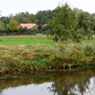 2019-10-15T151452Z_1710274524_RC1BE0A2C0D0_RTRMADP_3_NETHERLANDS-FAMILY.JPG