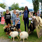 Lochau Kunstmarkt am Kaiserstrand SOMMER TERMIN Juni 2022 _5_.JPG