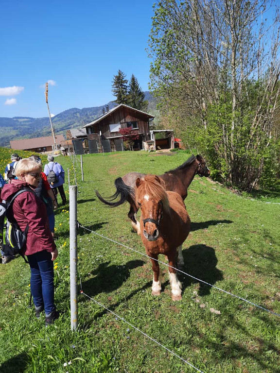 wandern 4.jpg