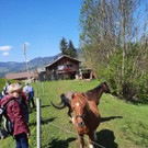 wandern 4.jpg