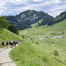 13_ Staufenspitze.jpg