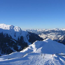985757.jpg