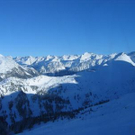 985759.jpg