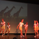 IMG_9027.jpg