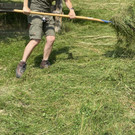 Wildpark braucht Hilfe