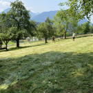 image 0001.jpeg